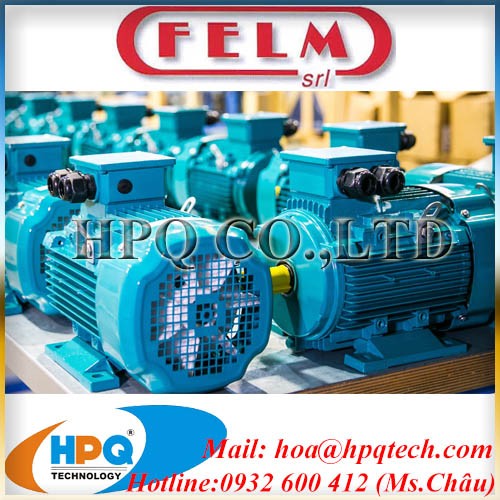 Felm Electric Motor | Nhà cung cấp Động cơ gang Felm Motor